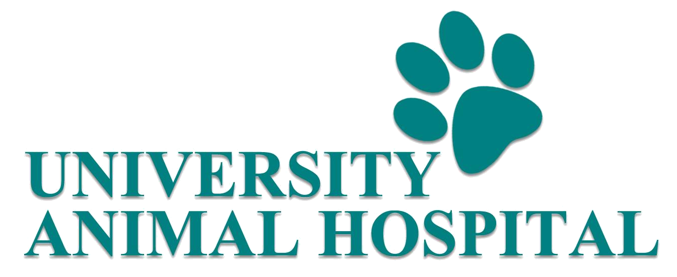 University Animal Hospital Logo